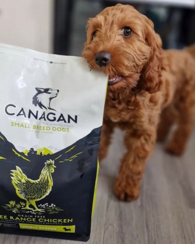 Dry Dog Food