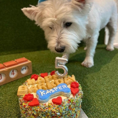 Tongues and Tails Dog Cakes