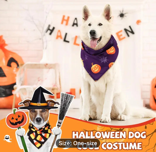 Halloween Bandana for Dog