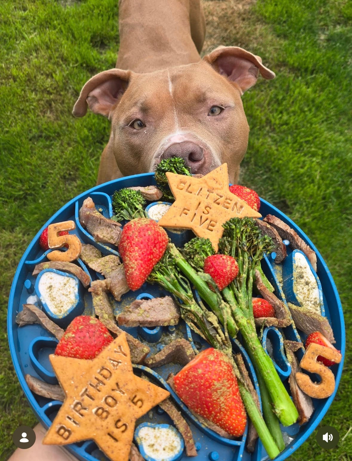 MARS 2-IN-1 SLOW FEEDER & LICK MAT