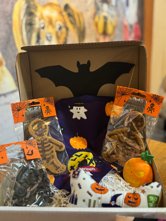 Halloween dog treat box