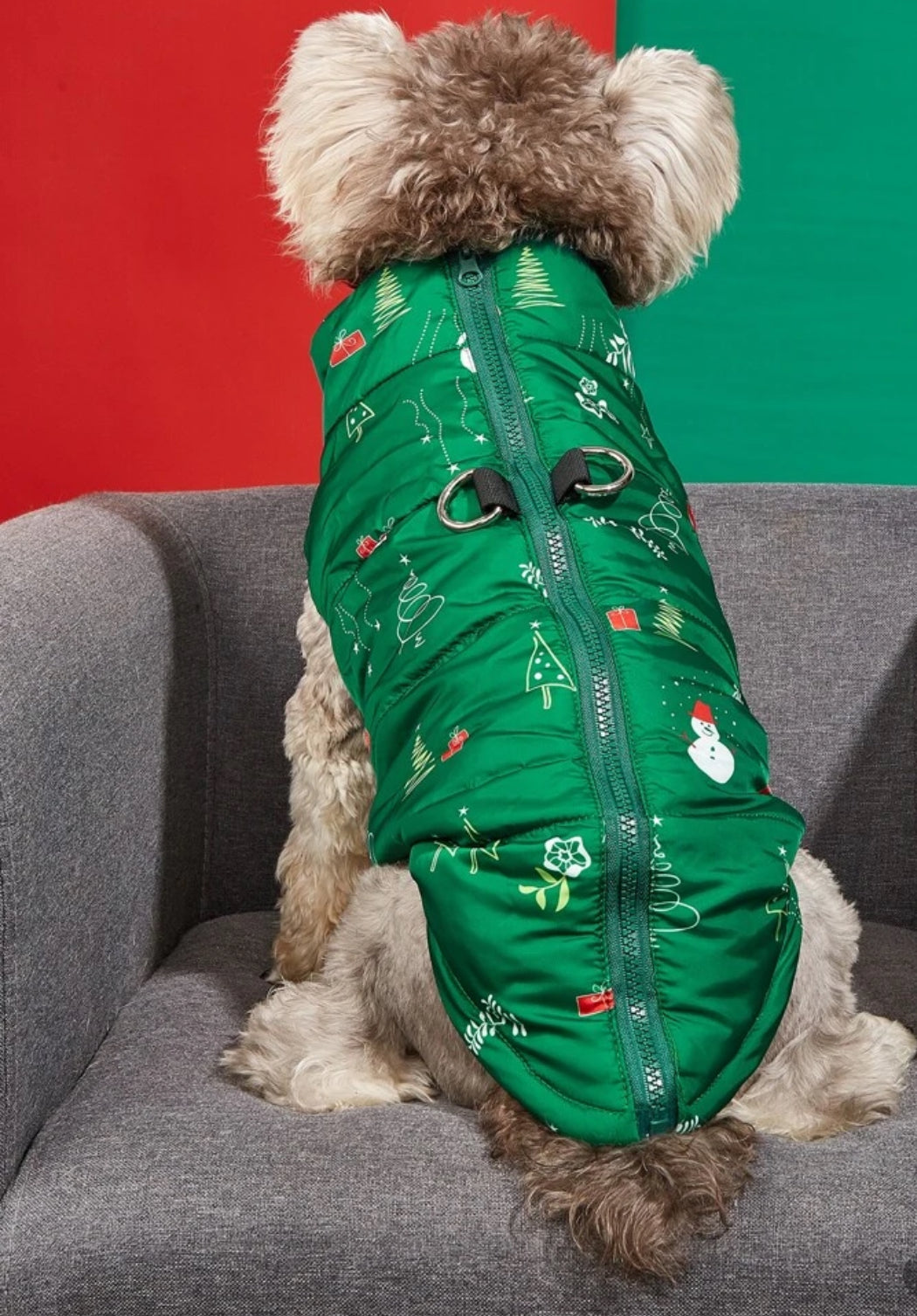 Jacket Christmas for dog