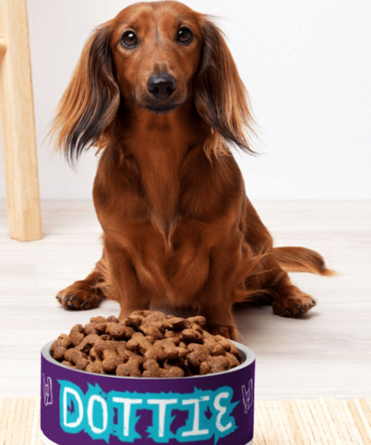 Custom Dog Pet Bowl