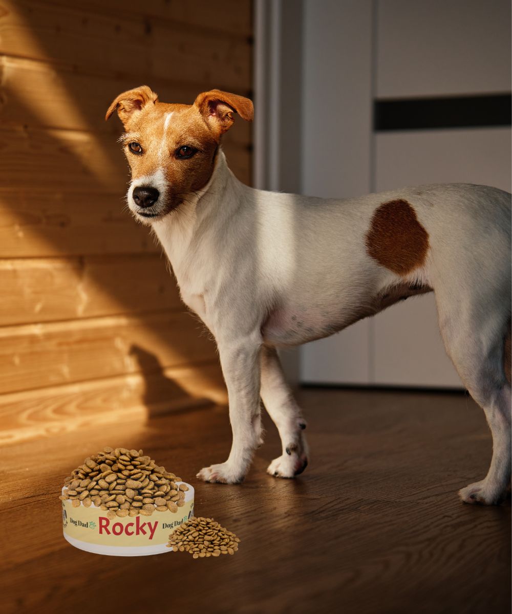 Custom Dog Pet Bowl