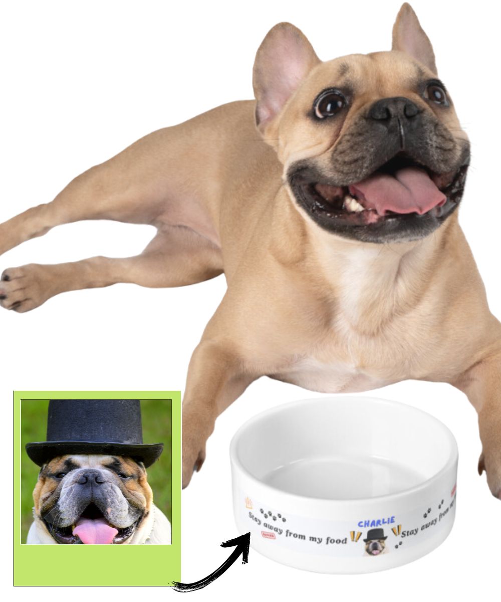 Custom Dog Pet Bowl