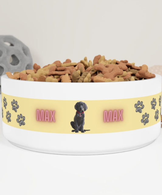Custom Dog Pet Bowl