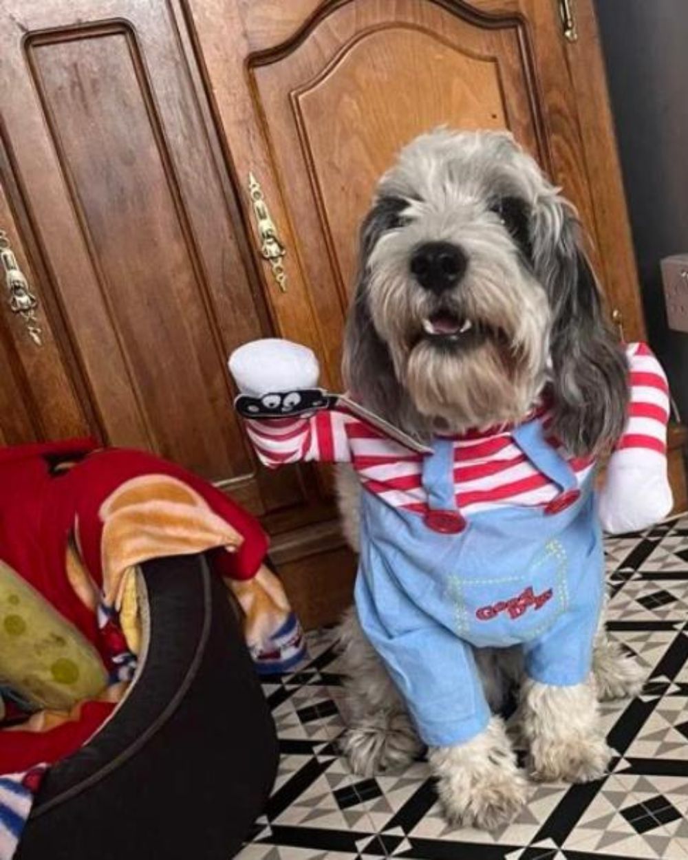 Dog Deadly Doll Pet Dog Costume Dog Halloween