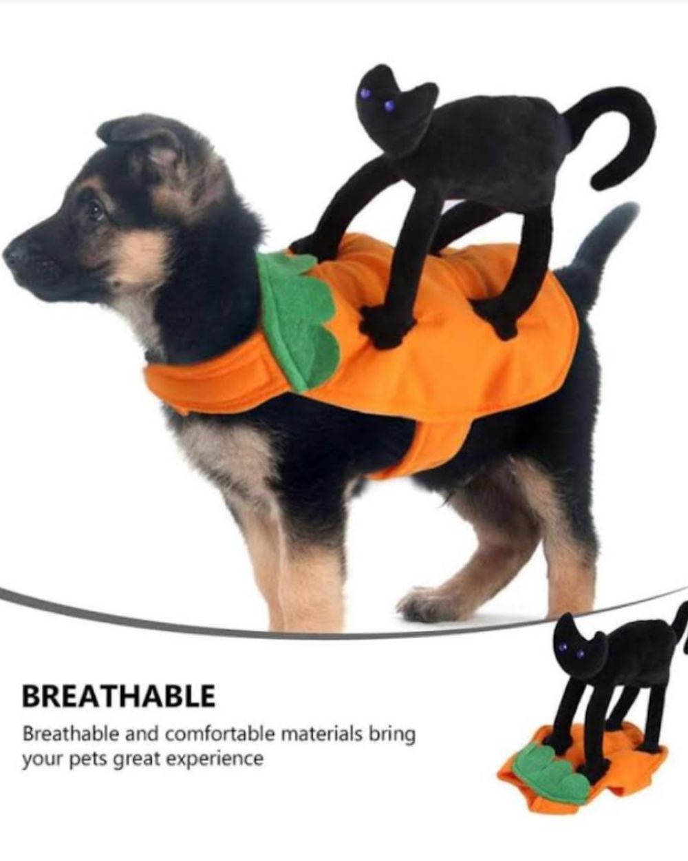 Dog and Cat Halloween Costumes With Cat Transformation on Top And Funny Pet Clothing Top