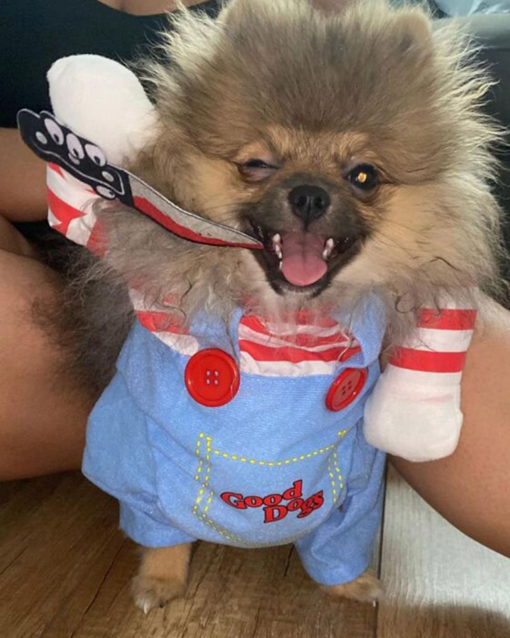 Dog Deadly Doll Pet Dog Costume Dog Halloween