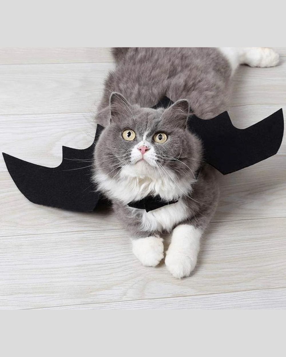 Halloween Bat Wings Pet Dog Costume