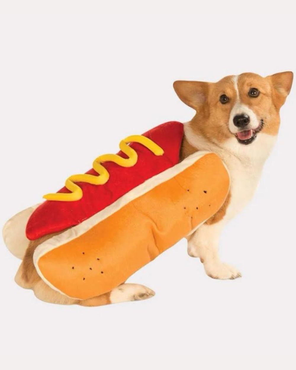 Hot Dog Pet Costume