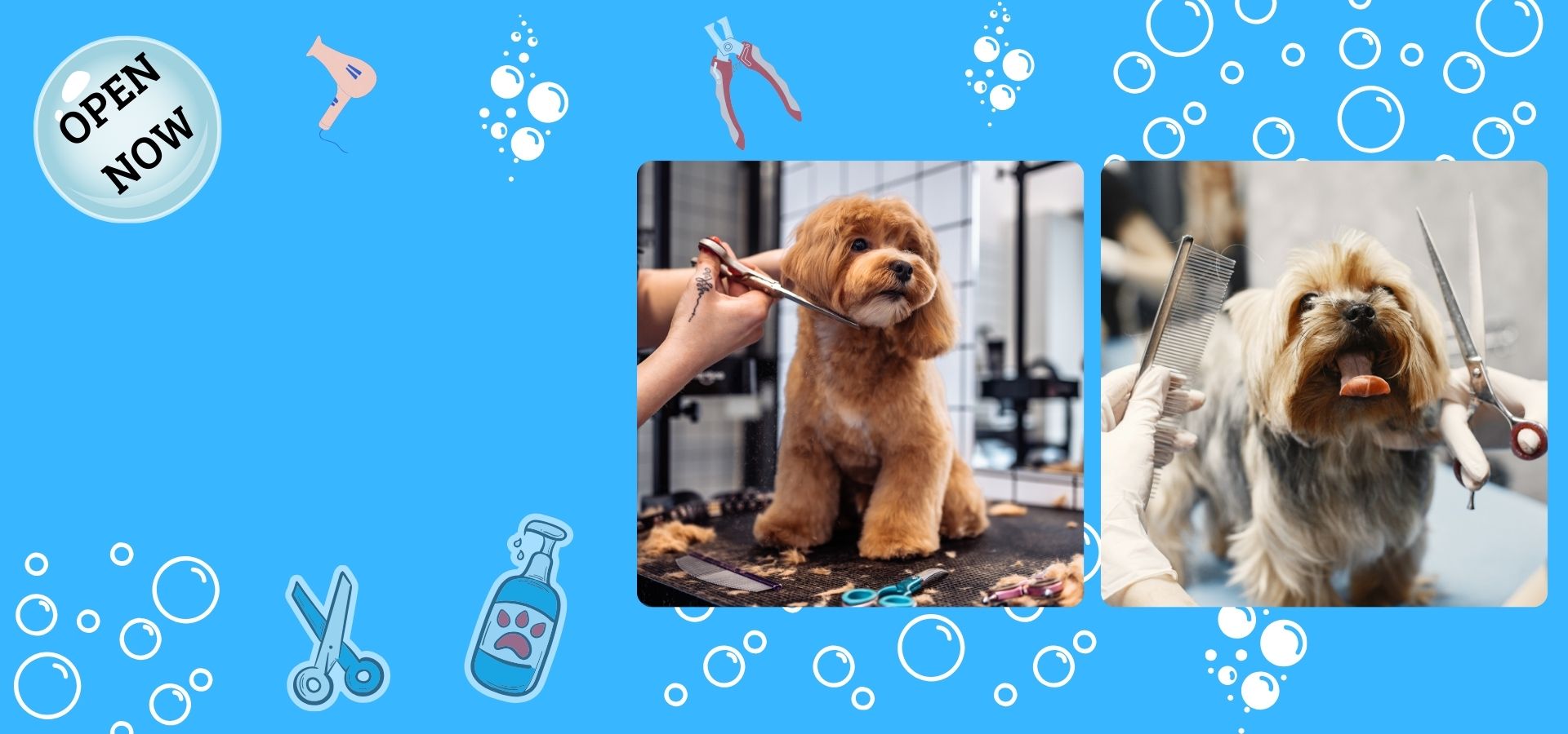 Dog Grooming London