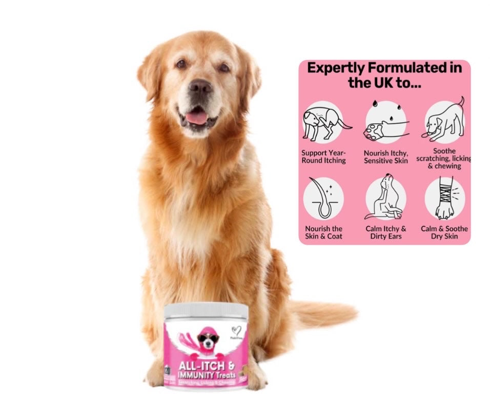 All-Itch & Immunity Support Dog Chews
