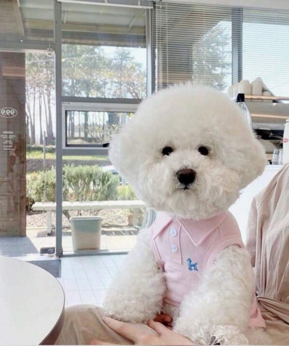 Spring Summer Solid Color Polo Shirt For
Dogs Breathable Thin