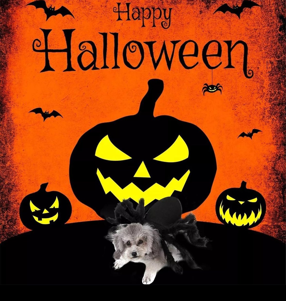 Halloween Pet Black Spider Costume Funny Cosplay Outfit Cat Dog Puppy Clothes