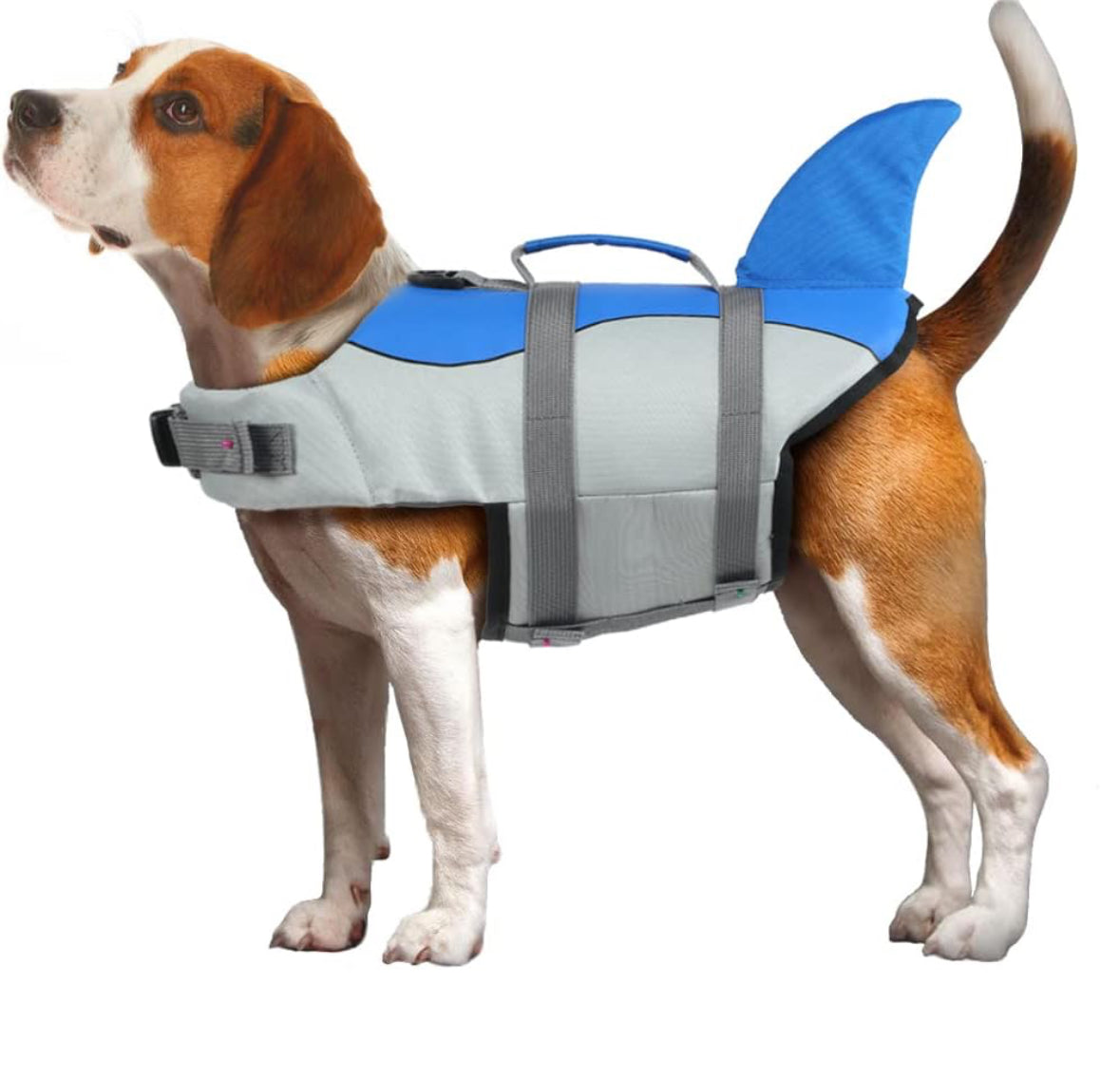 Dog Life Vests, Dog Floats for Swimming, Boat, Pool, Ripstop Dog Life Jacket with High Buoyancy and Lift Handle for Small and Medium Breeds, (M,Blue)