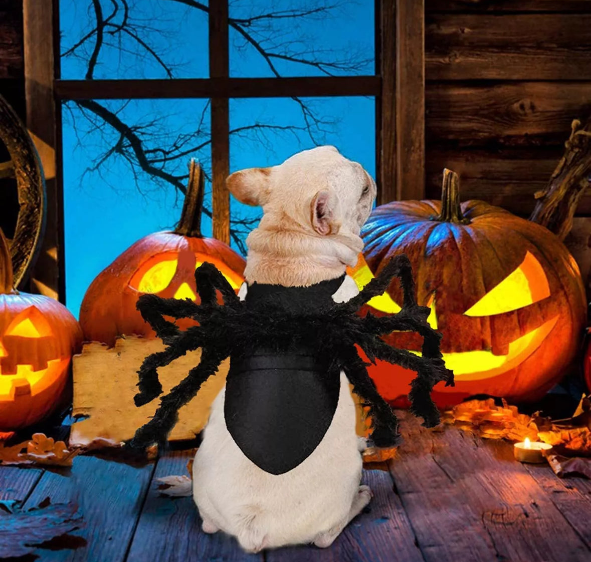 Halloween Pet Black Spider Costume Funny Cosplay Outfit Cat Dog Puppy Clothes