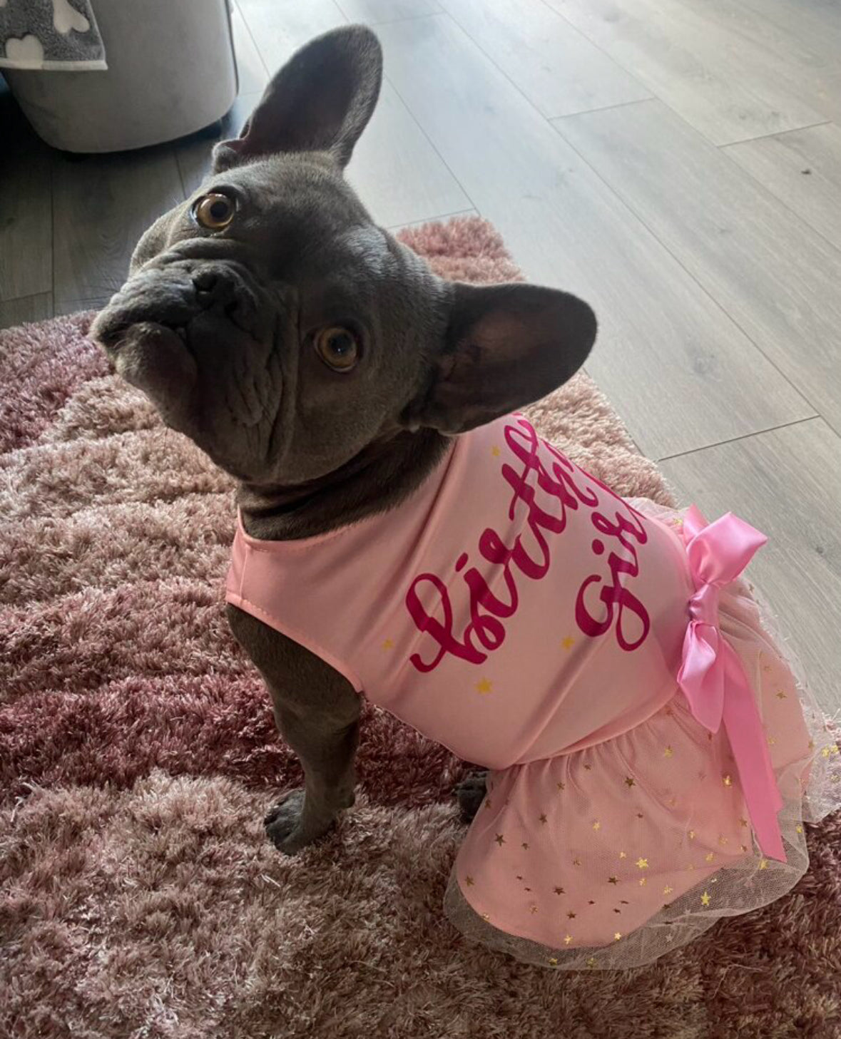 Birthday Dress Pink for Dog