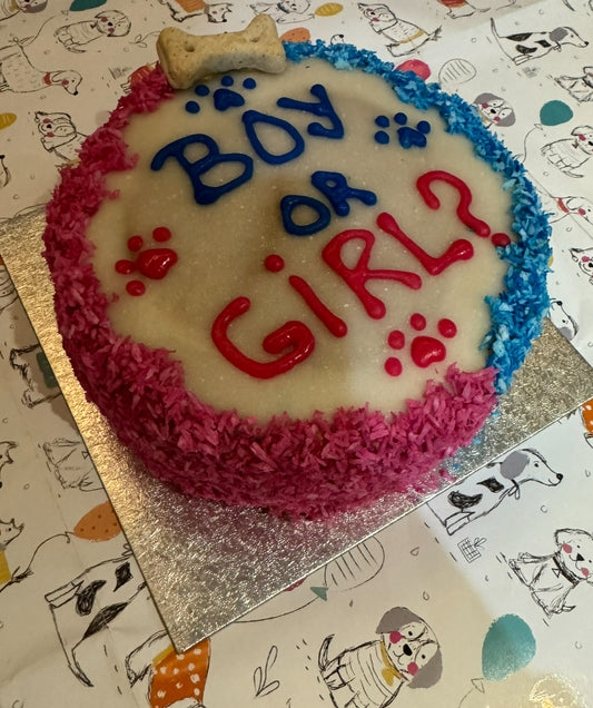 Amazing Coconut Dog Cake to Reveal Your Baby's Gender