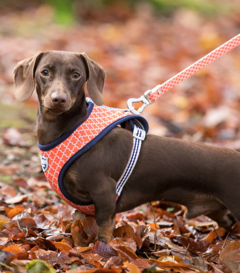 Orange Geometric Fabric Dog Lead