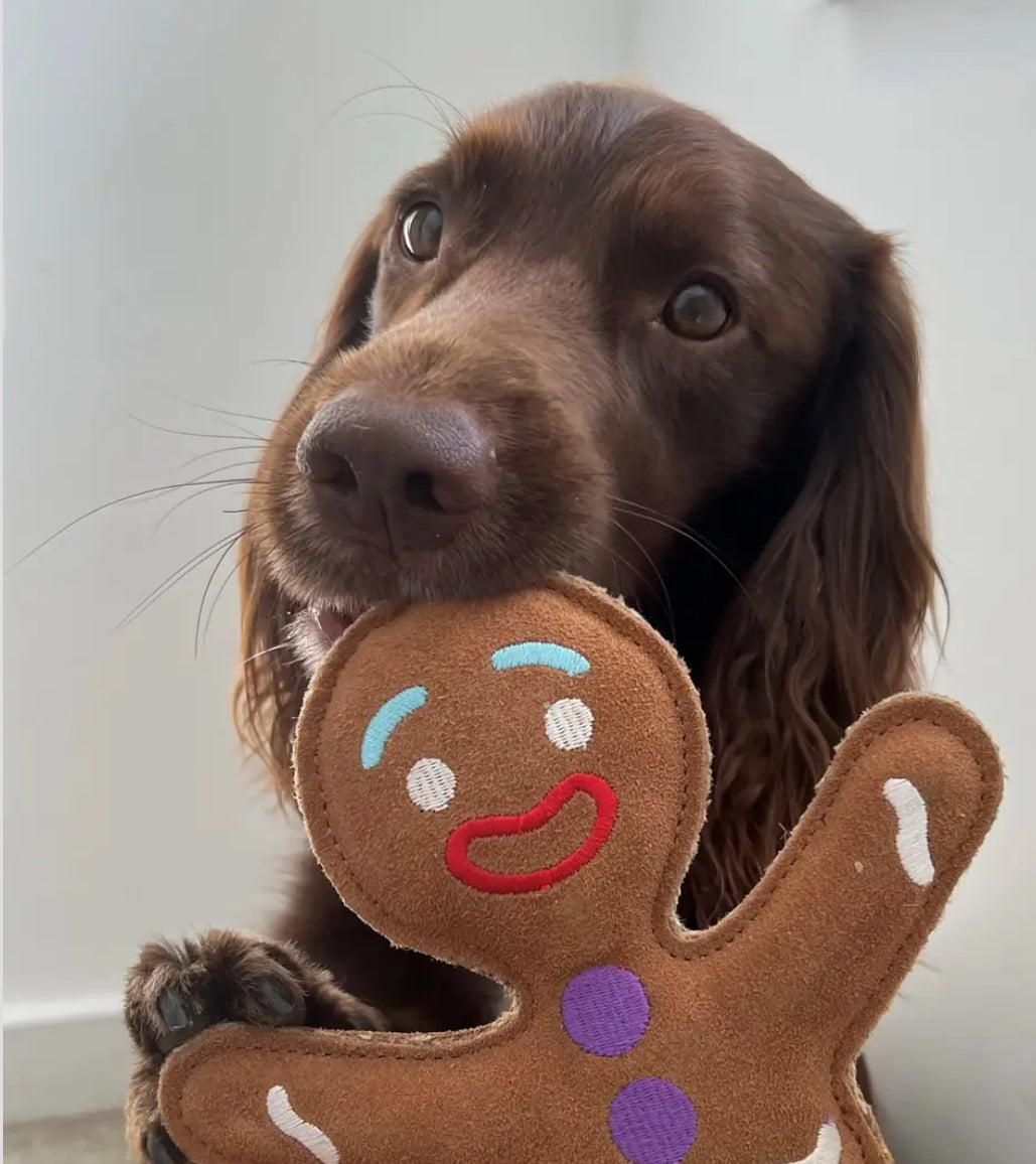 Jean Genie the Gingerbread Person, Christmas