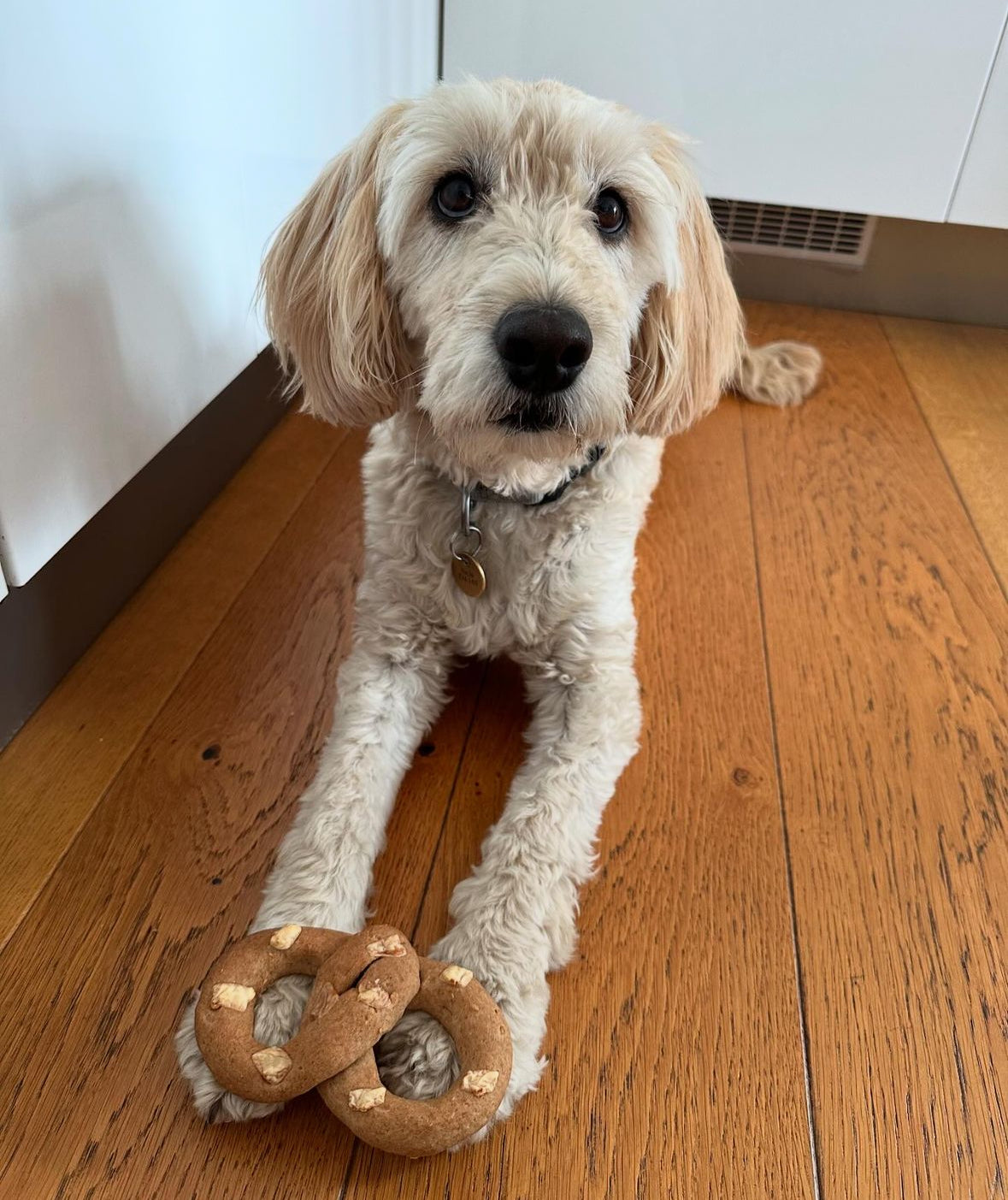 Parmesan pretzels for Dog