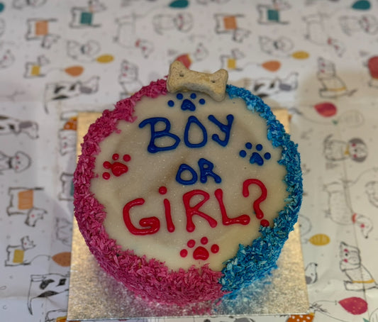 Amazing Coconut Dog Cake to Reveal Your Baby's Gender