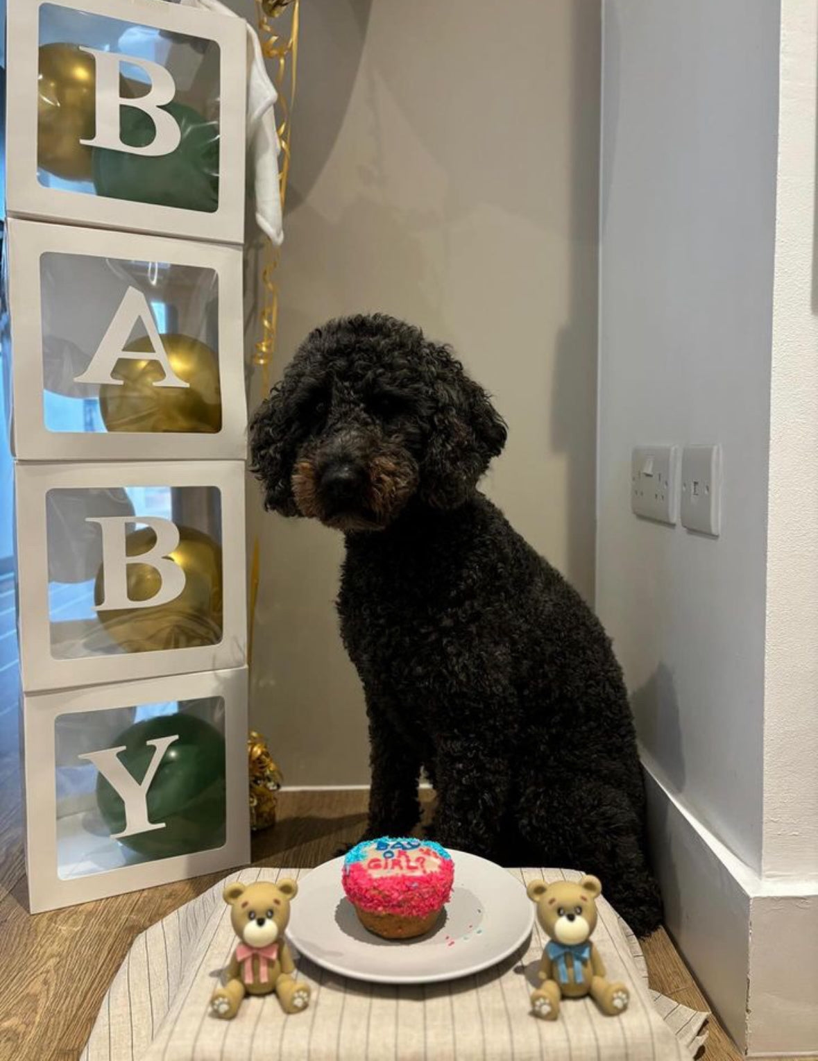 Amazing Coconut cupcakes to Reveal Your Baby's Gender