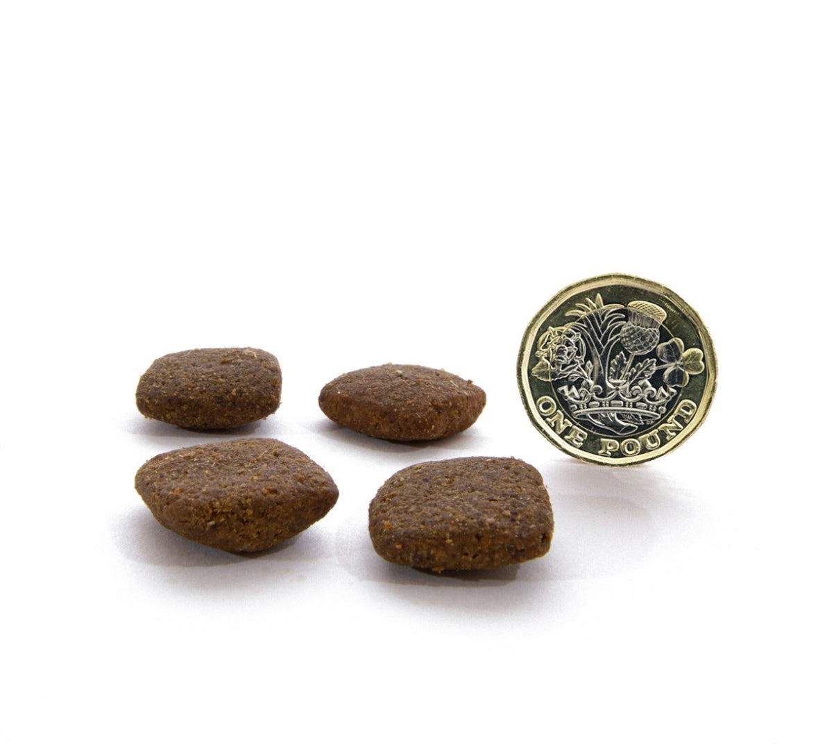DRY DOG FOOD
GRASS FED LAMB