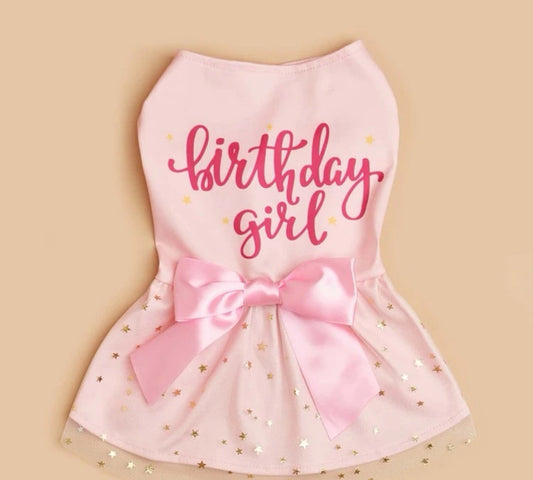 Birthday Dress Pink for Dog