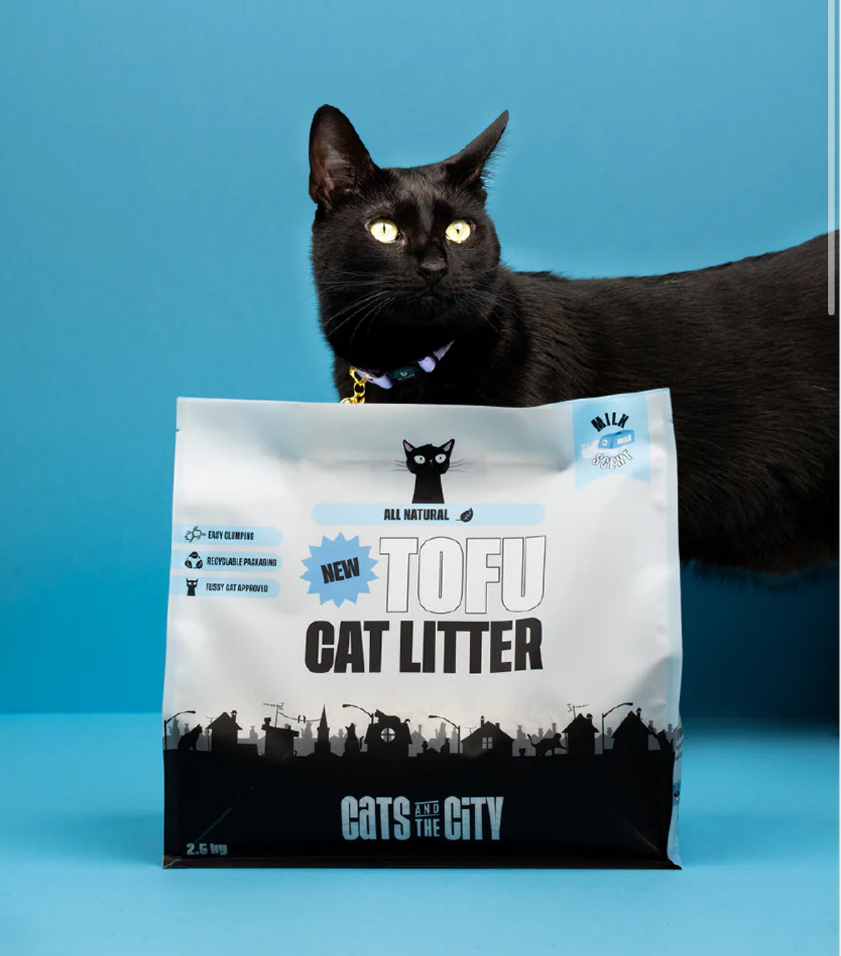 CHARCOAL TOFU CAT LITTER