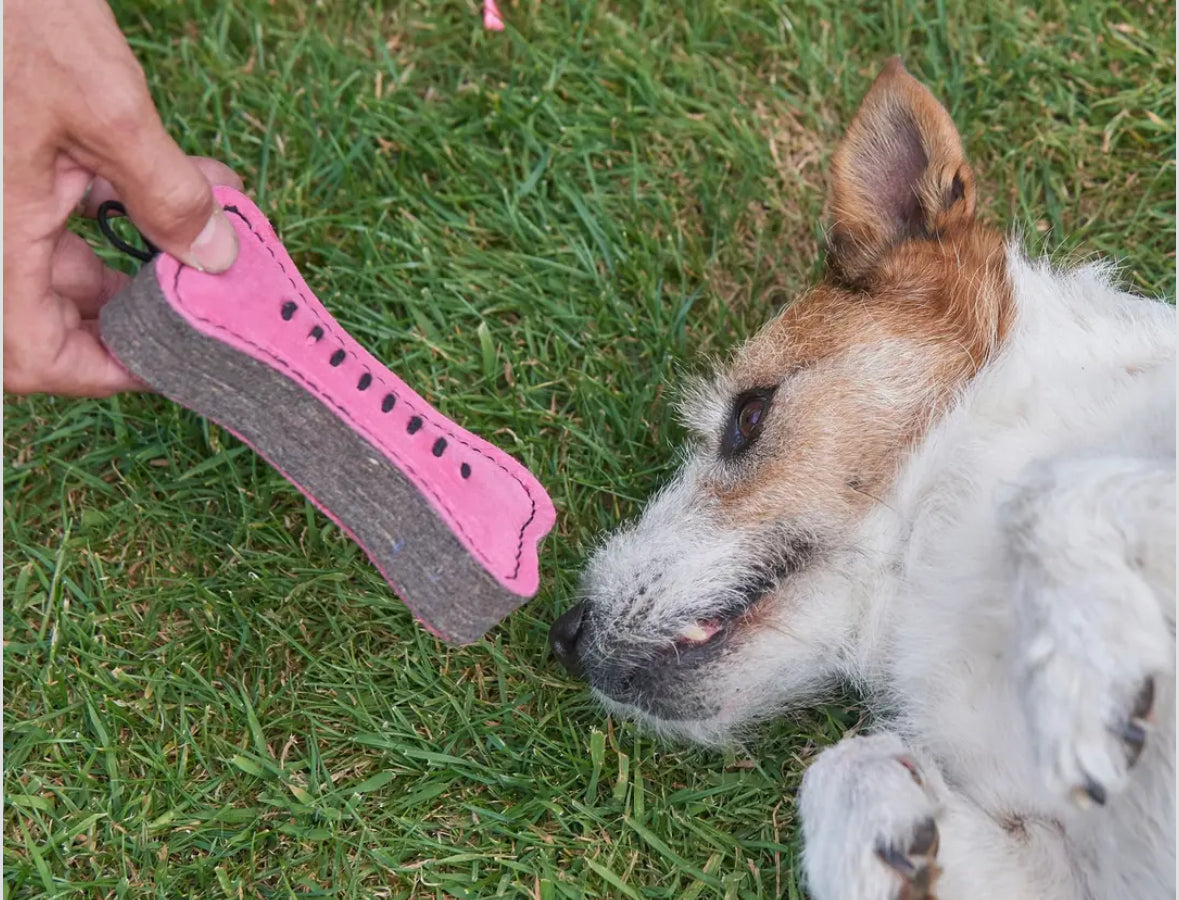 Pinkie Bone, Eco Toy
