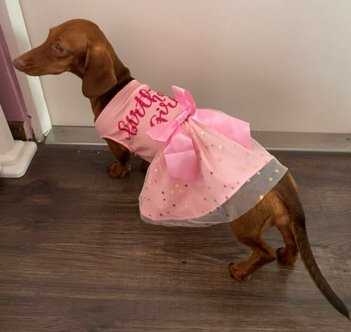Birthday Dress Pink for Dog