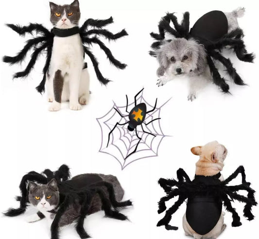 Halloween Pet Black Spider Costume Funny Cosplay Outfit Cat Dog Puppy Clothes