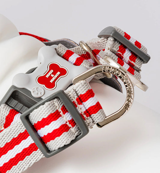 Easy Walk V Dog Harness - Red