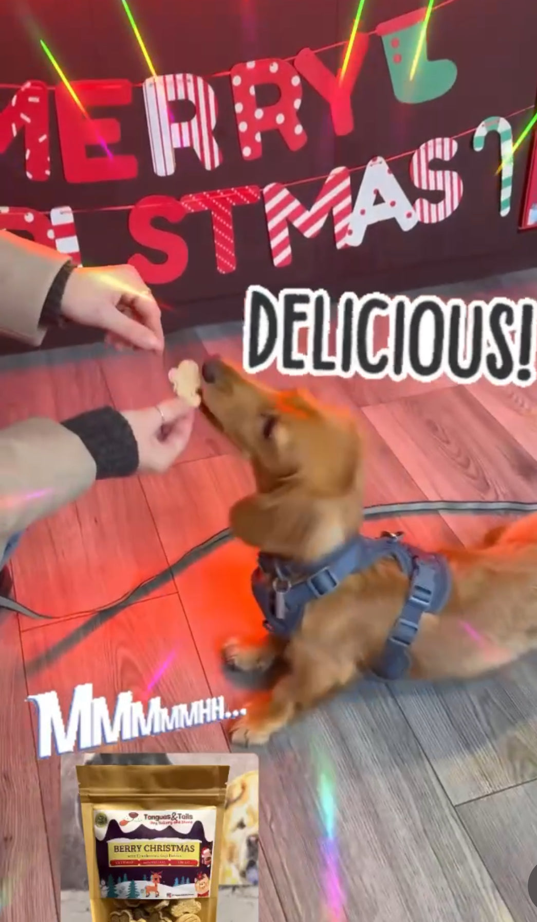 Berry Christmas Treats