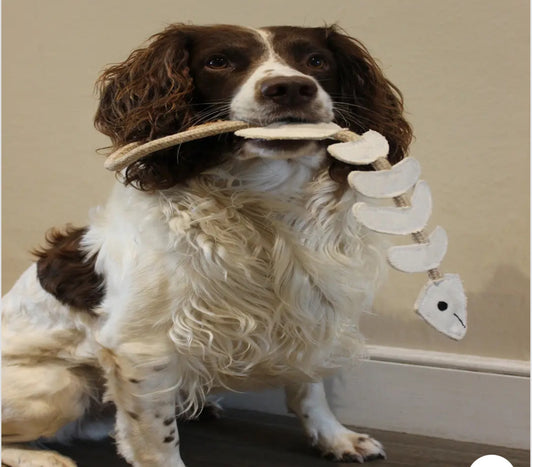 Thin Lizzie bonefish, Eco Toy