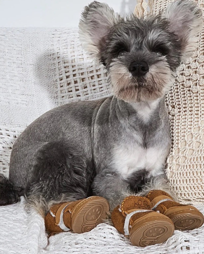 Dog shoes