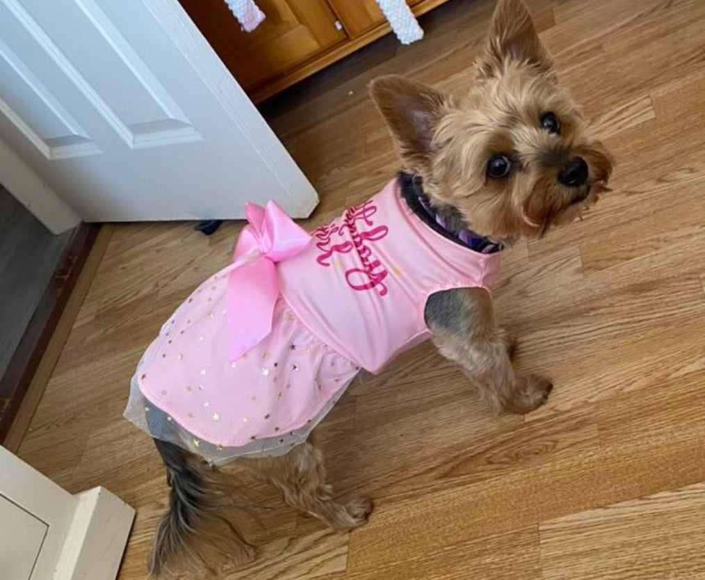 Birthday Dress Pink for Dog