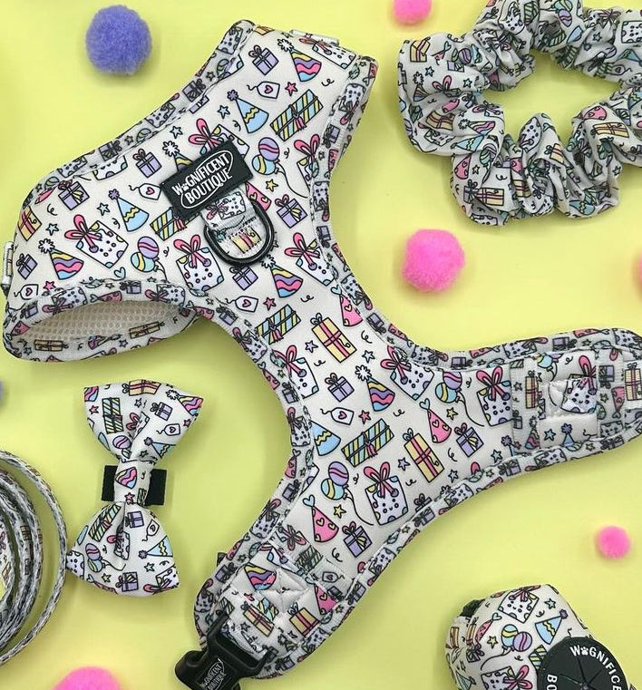 Bark If Its Your Birthday Harness