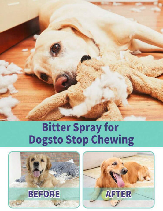 Apple No Chew Spray for Dogs, Stops Chewing