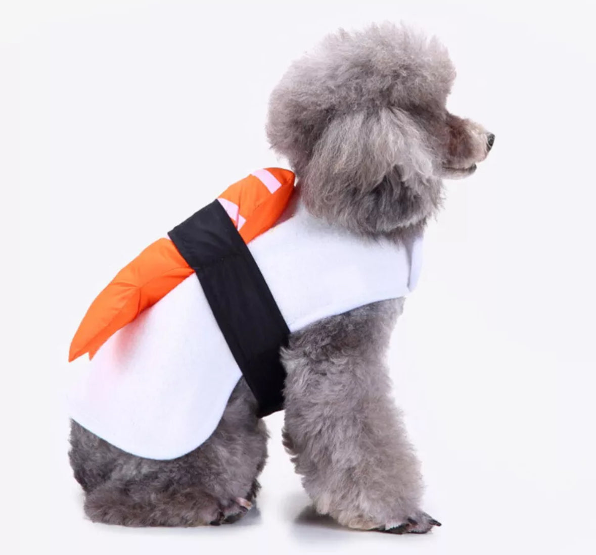 Halloween Costumes Funny Large Sushi Pet Clothes Party
