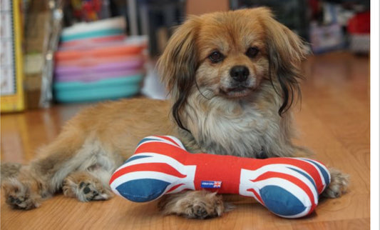 Dog Toys Union Bone