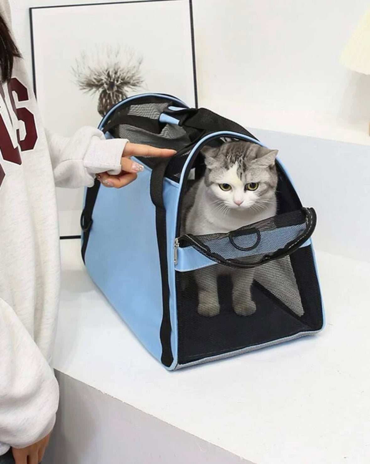 PET Carrier portable Handbag, Crossbody Bags for cats and Dogs