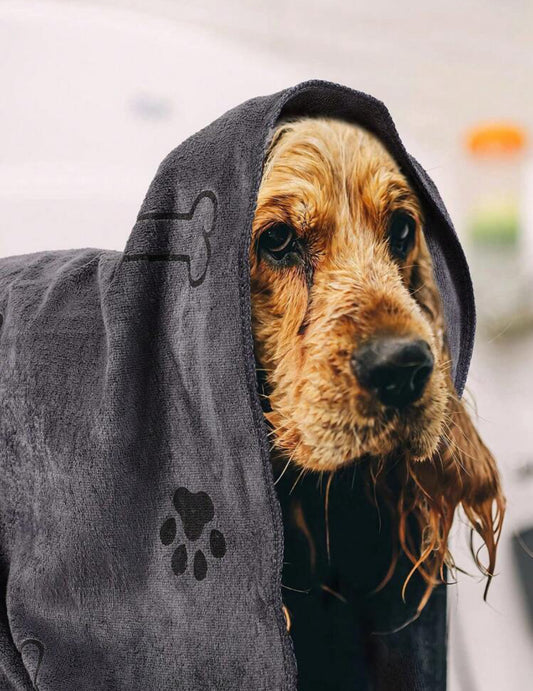 Absorbent Pet Grooming towels, soft microfibres, quick drying towels for dogs and for cats