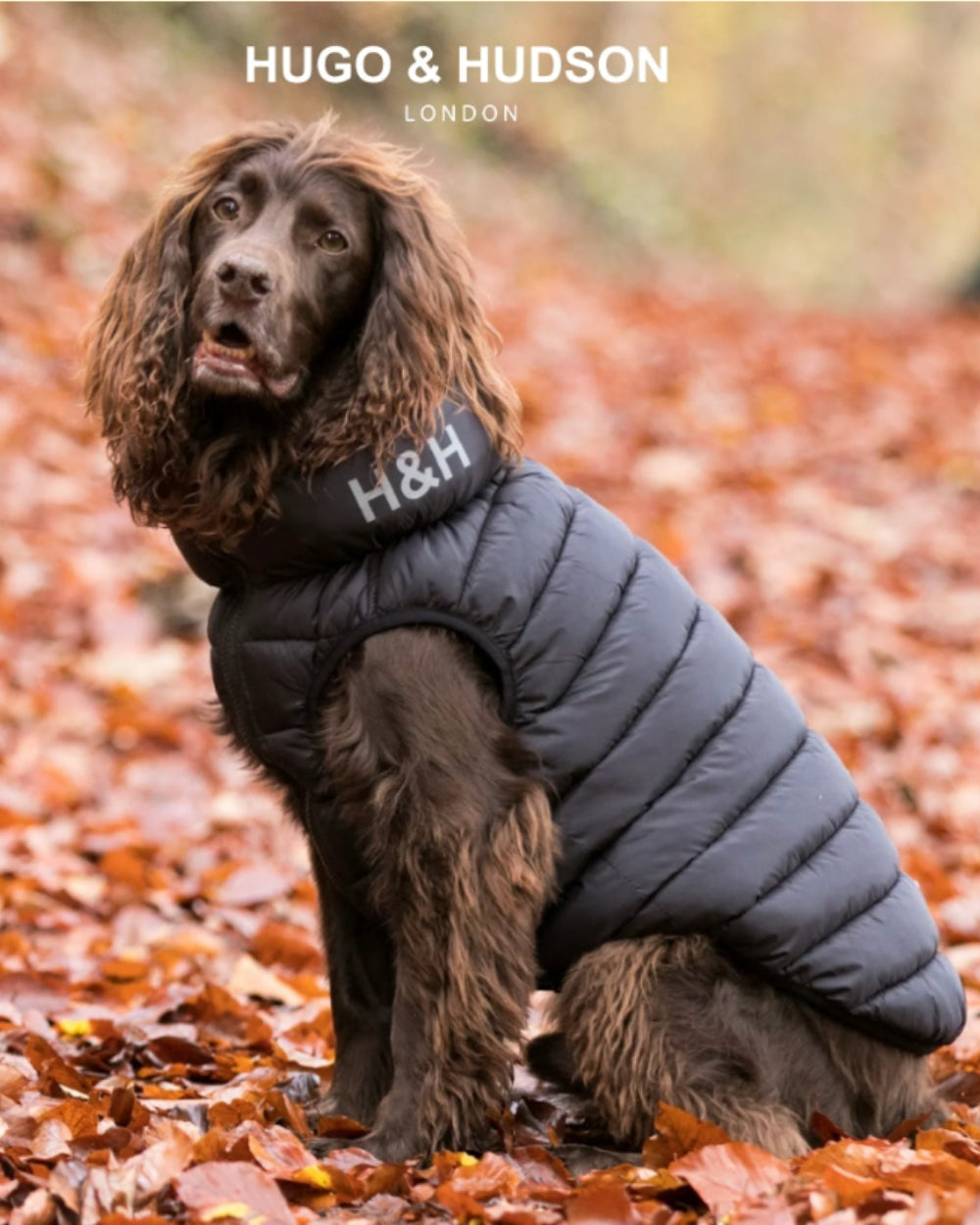 Hugo and Hudson Reversible Dog Puffer Jacket - Black and Grey - Dog Coat