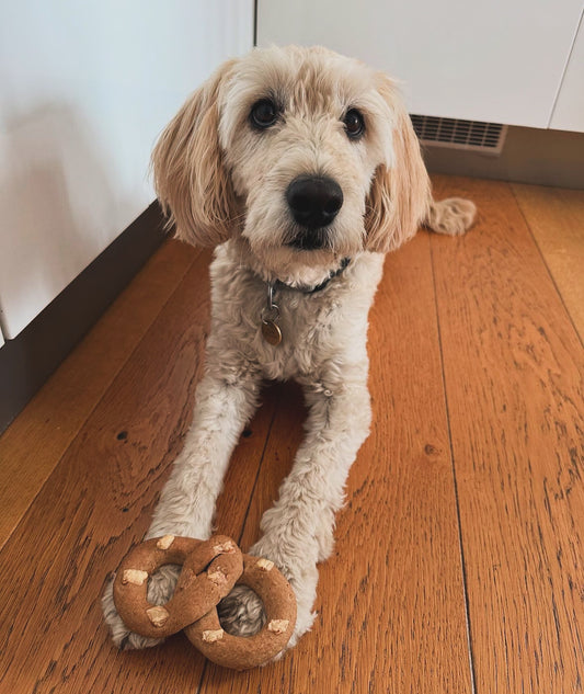 Parmesan pretzels for Dog