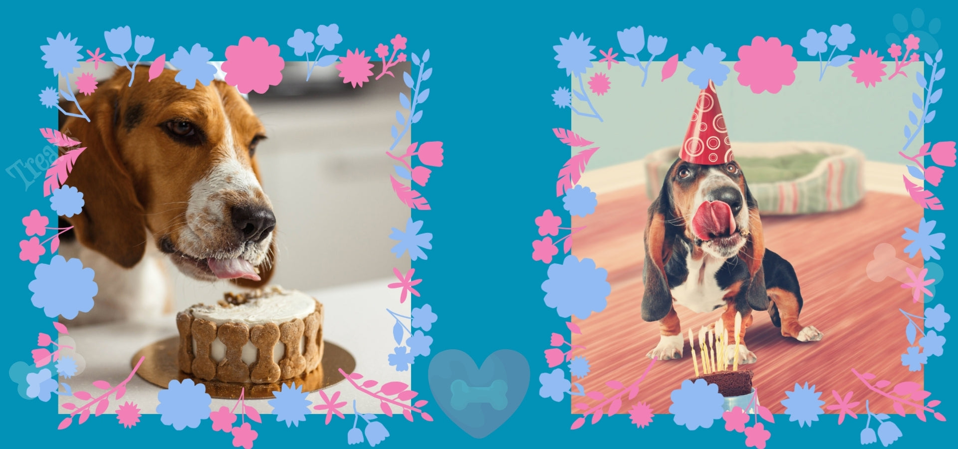 Tongues and Tails Dog Bakery and Dog Store Pet Store