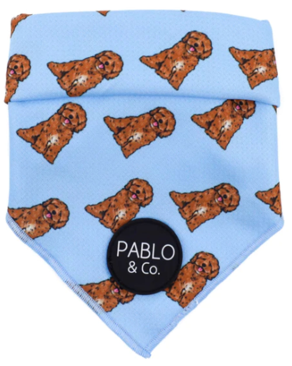 Pablo and Co Cavoodle - Dog Bandana