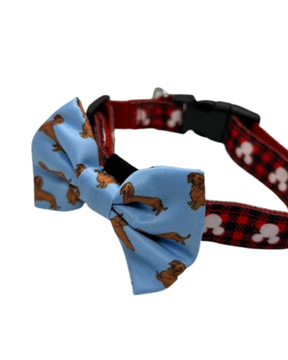 Pablo and Co Dachshund Dog Bow Tie